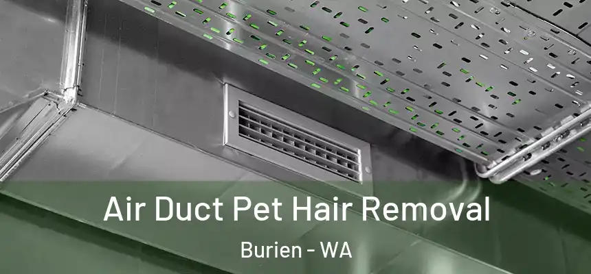  Air Duct Pet Hair Removal Burien - WA