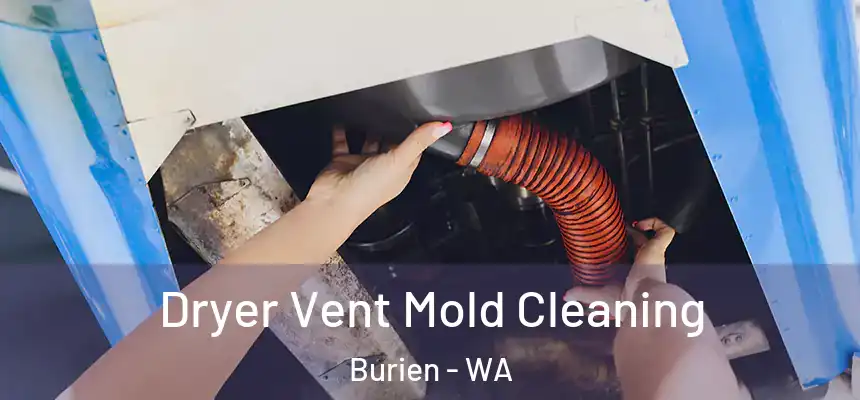  Dryer Vent Mold Cleaning Burien - WA