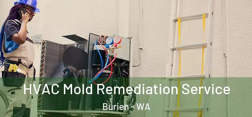  HVAC Mold Remediation Service Burien - WA