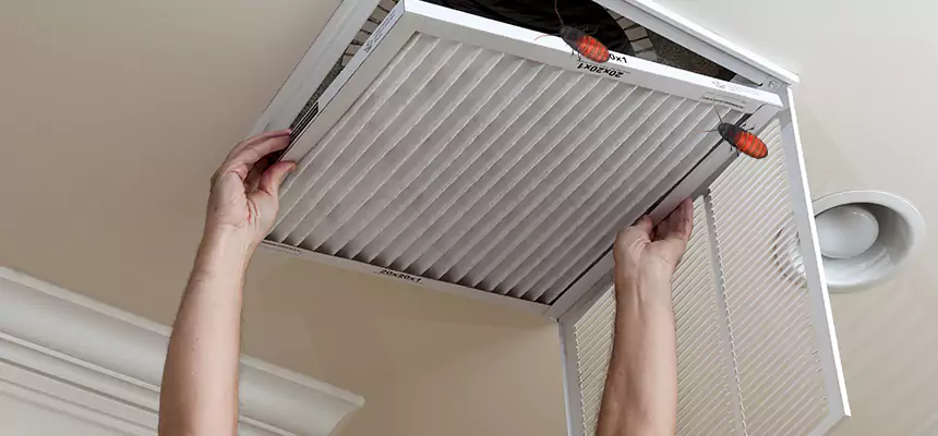 Preventive Cockroach-Proofing for Ducts in Burien