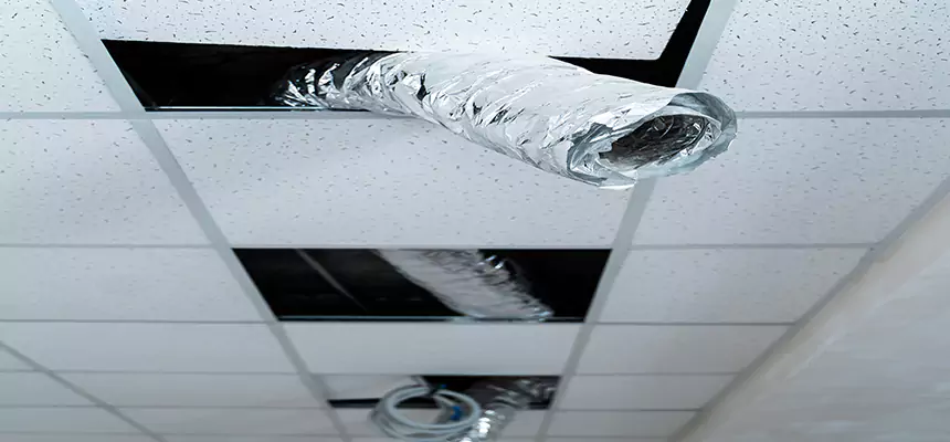 Affordable HVAC Sanitizing After Pest Removal in Burien