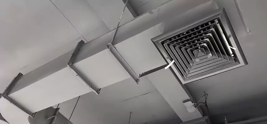 Restorative Allergy Relief Vent Cleaning – Coil, Blower & Housing Detail in Burien