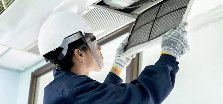 Our Mold & Mildew Removal from Air Ducts Services in Burien, WA