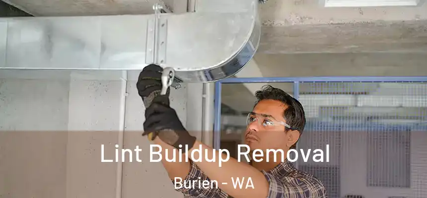 Lint Buildup Removal Burien - WA