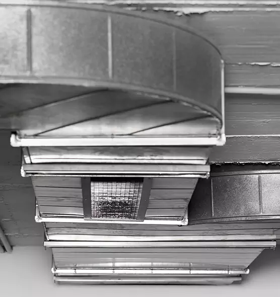 Professional Air Duct Pet Hair Removal in Burien, WA