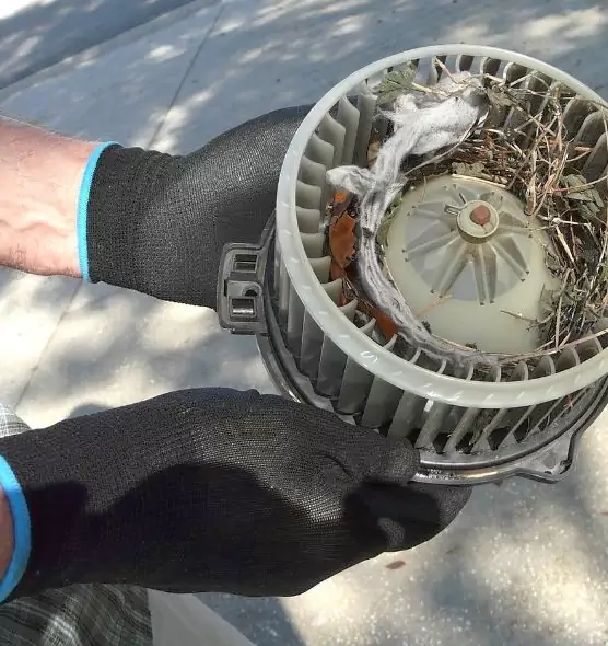 About Air Duct Rat Removal in Burien, WA