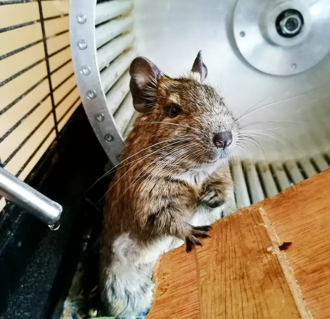 Why Homeowners & Businesses Trust Us Burien, WA