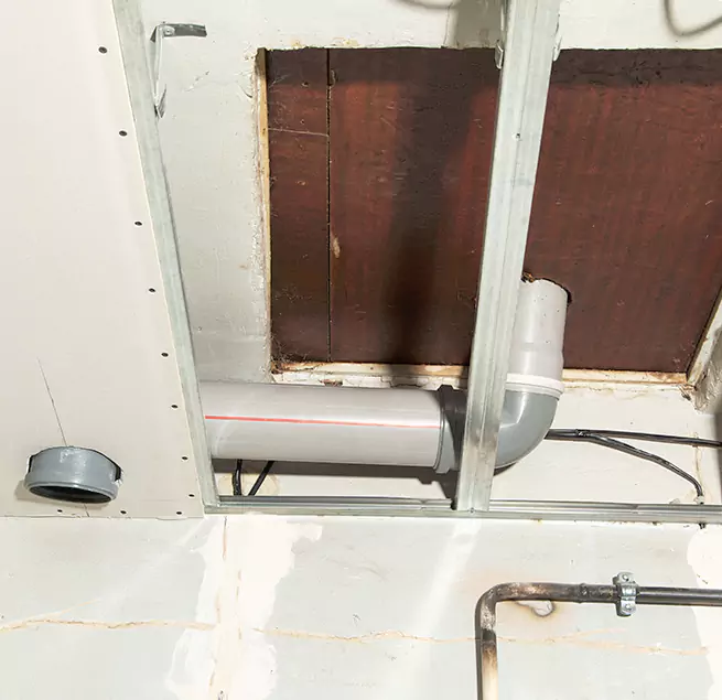 Why Homeowners & Businesses Trust Us in Burien, WA?