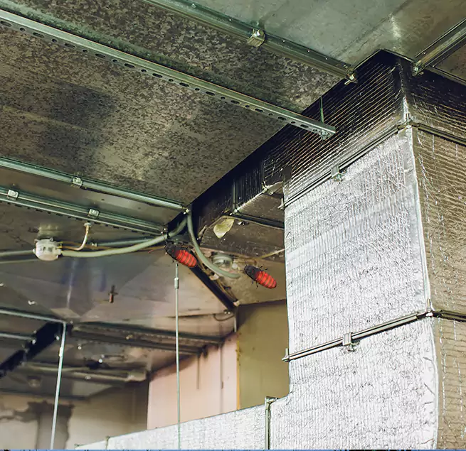 Why Homeowners & Businesses Trust Us Burien, WA?