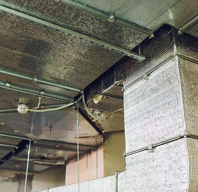 Why Homeowners & Businesses Trust Us in Burien, WA?