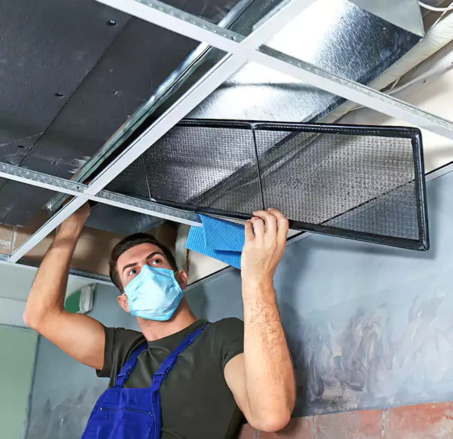 Why Homeowners Businesses Trust Us in Burien, WA